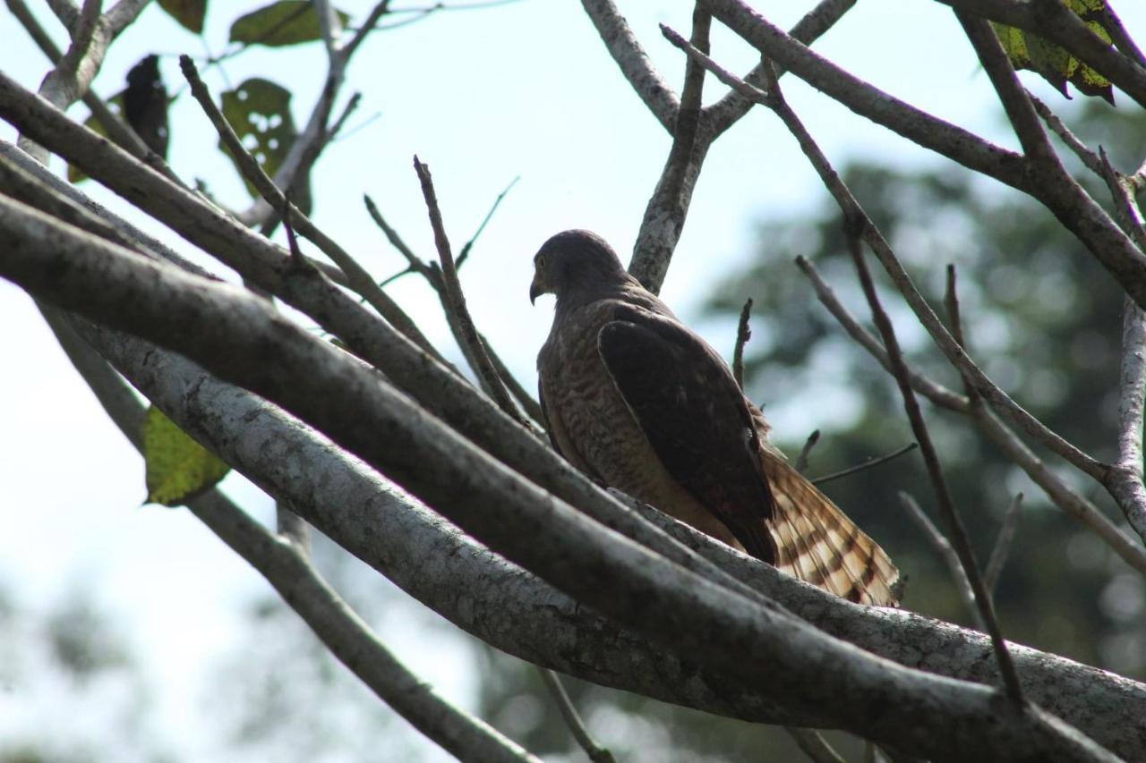 Hotel Pacuare Turrialba Kültér fotó